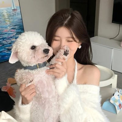 流氓医生国语